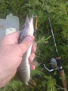 20160808_190517.jpg