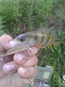 20160808_194021.jpg
