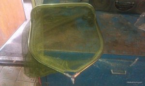 IMAG0055.jpg