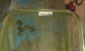 IMAG0056.jpg