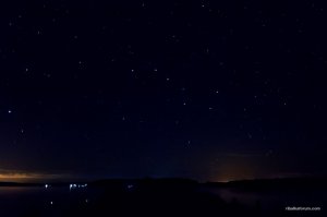 _MG_0423+1.jpg