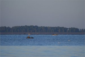_MG_0470+.jpg