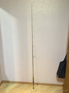 image.jpeg