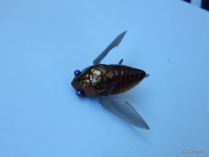 DSCN8486.JPG