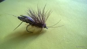 WP_20160805_11_01_28_Pro.jpg