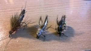 WP_20160804_17_06_07_Pro.jpg
