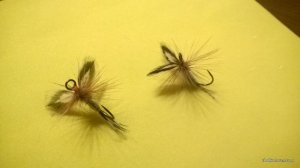 WP_20160628_22_21_49_Pro.jpg