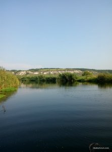 P60812-073941.jpg