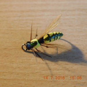 DSCN2322.JPG