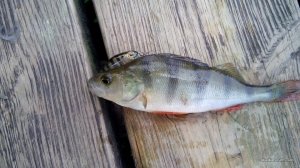 IMG_20160814_165535.jpg