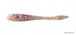 watermarked - 5.jpg