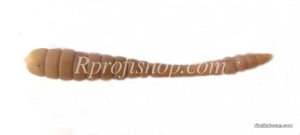 watermarked - 28.jpg