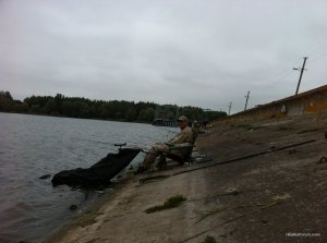 IMG_2772.JPG