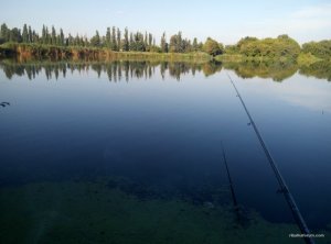 P60816-072056.jpg
