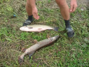 IMG_0317.jpg