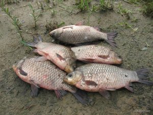 IMG_0327.jpg