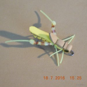 DSCN2366.JPG
