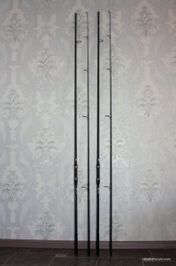 IMG_4522.JPG