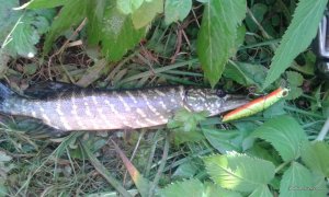 IMG_20160819_154122.jpg