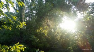 IMG_20160820_065729.jpg