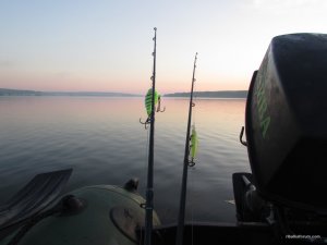 IMG_3160.JPG
