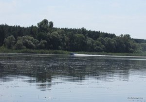 IMG_3174.JPG