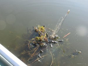 IMG_3171.JPG