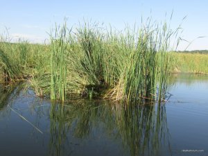 IMG_3172.JPG