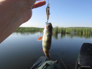 IMG_3170.JPG