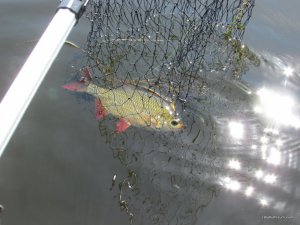 IMG_3183.JPG