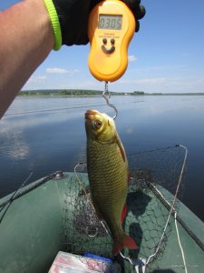 IMG_3185.JPG
