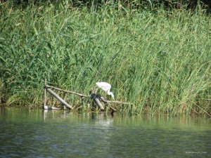 IMG_3190.JPG
