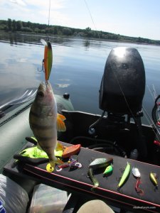 IMG_3173.JPG
