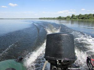 IMG_3187.JPG