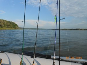 DSCN3113.JPG