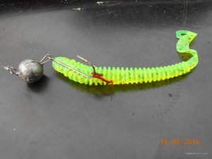 DSCN3118.JPG