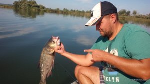 IMG_20160820_092608.jpg