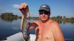 IMG_20160820_090057.jpg
