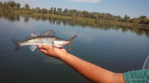 IMG_20160820_103437.jpg