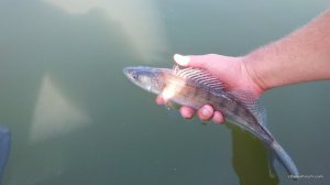 IMG_20160820_100345.jpg