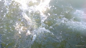 IMG_20160820_100347.jpg