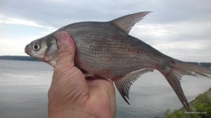 20160819_141639.jpg