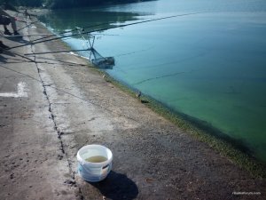 IMG_20160820_094157.jpg