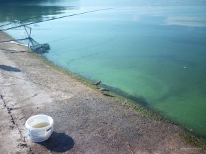 IMG_20160820_094221.jpg