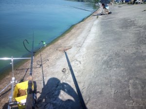 IMG_20160820_094713.jpg