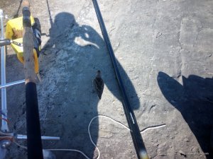 IMG_20160820_094718.jpg