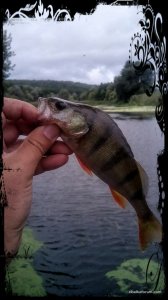 IMG_20160814_165242.jpg