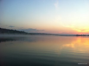 IMG_2781.JPG