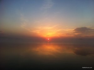 IMG_2782.JPG