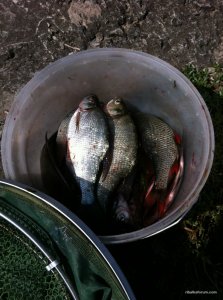 IMG_2795.JPG